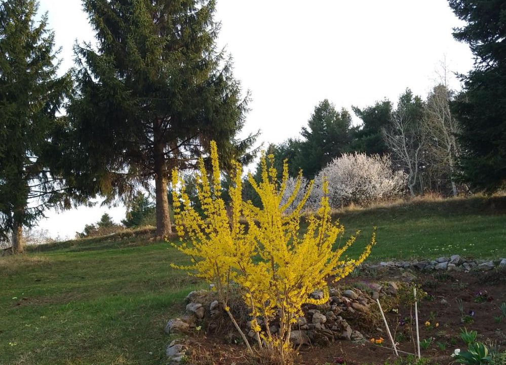 Photo of Outdoor in Ljubovija