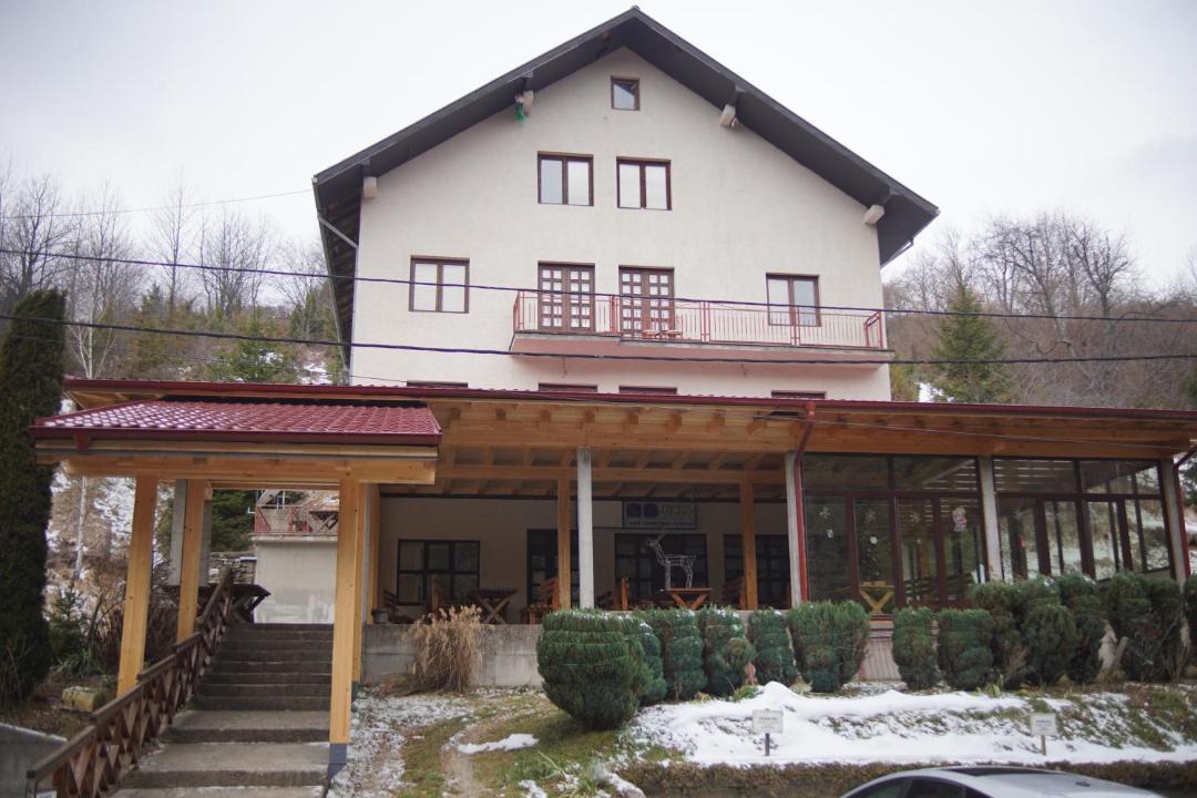 Photo of Others in Kopaonik