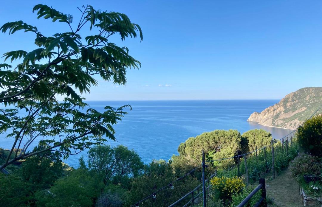 Photo of Others in Monterosso al Mare