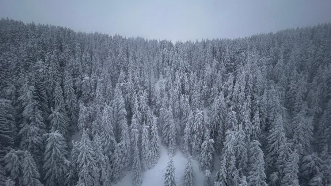 Photo of Others in Kopaonik