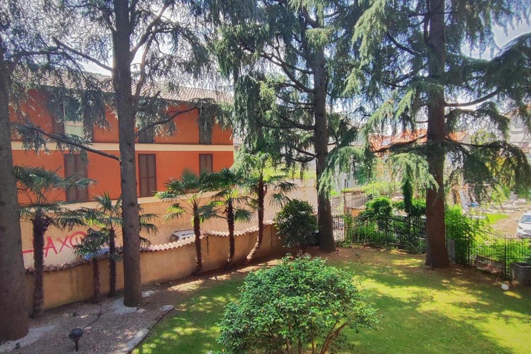 Photo of Others in Busto Arsizio