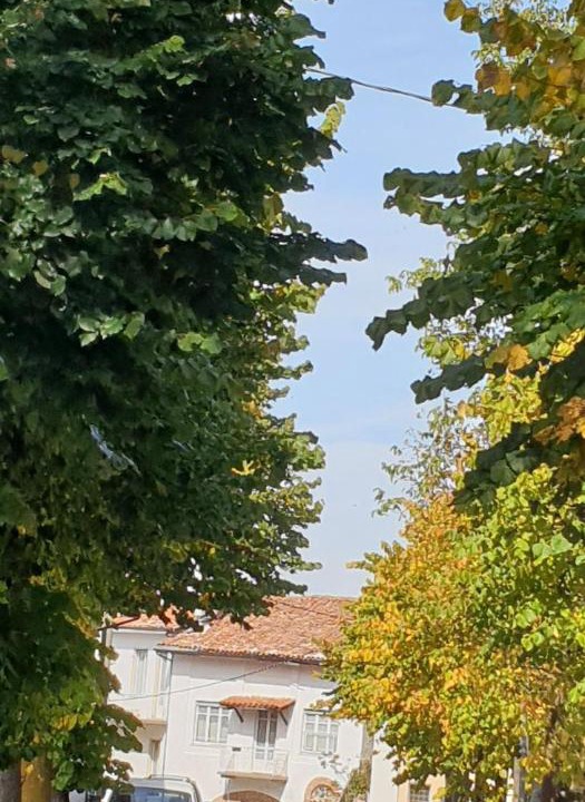 Photo of Others in Belvedere Langhe