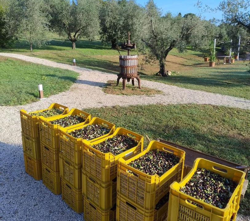 Photo of Others in Fano