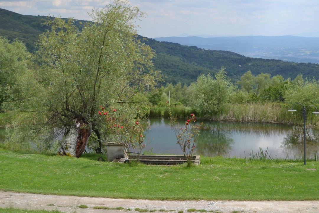 Photo of Others in Castelfranco di Sopra