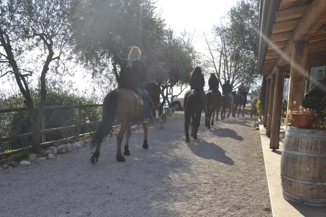 Photo of Others in Gaino