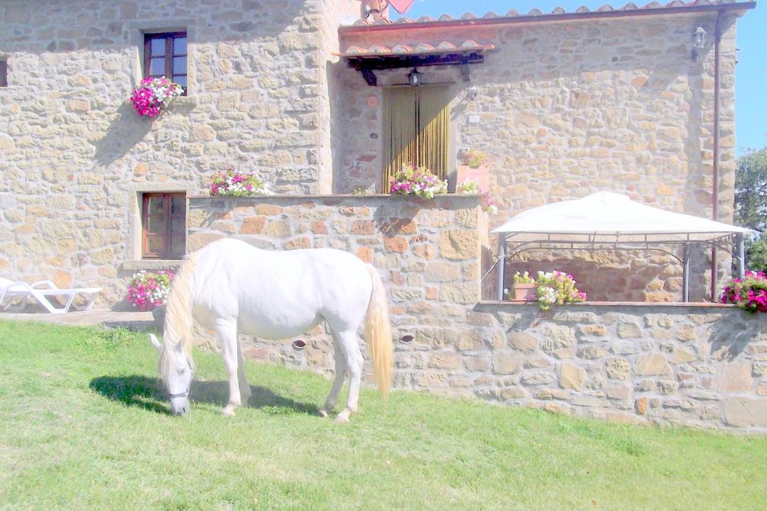Photo of Others in Pieve di Chio