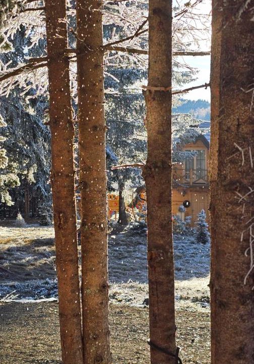 Photo of Others in Konjska Reka