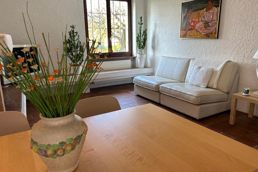 Photo of Livingroom in Morbio Inferiore