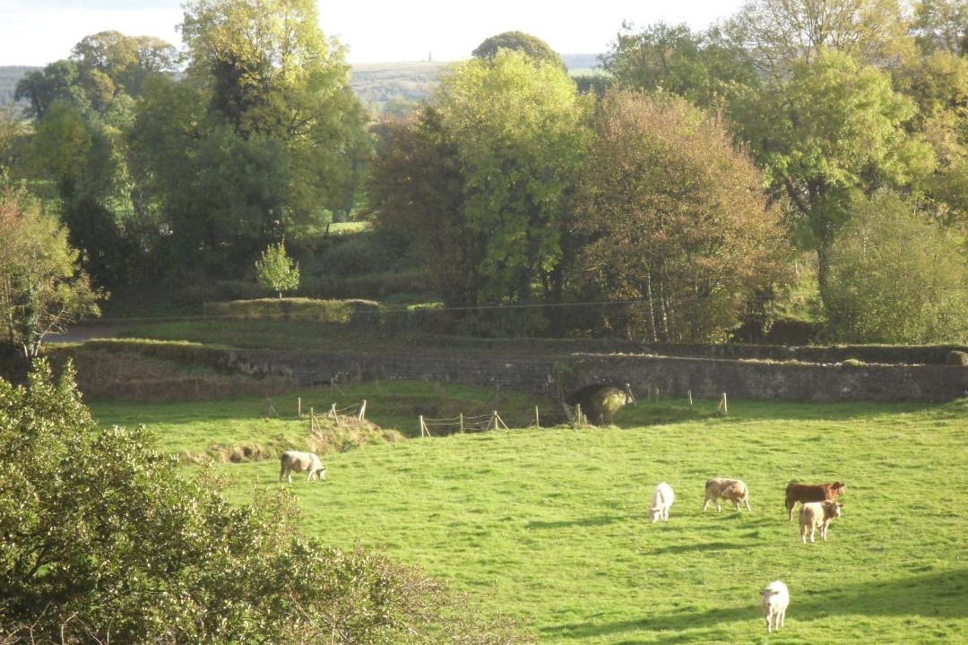Photo of Others in Clogher