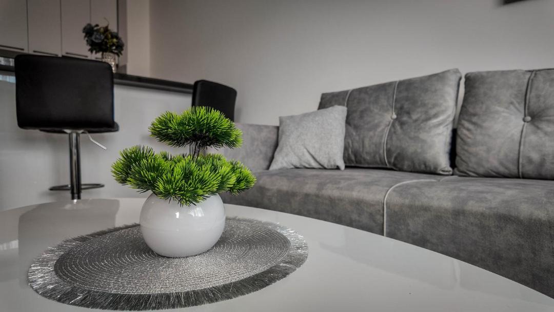 Photo of Livingroom in Pirot