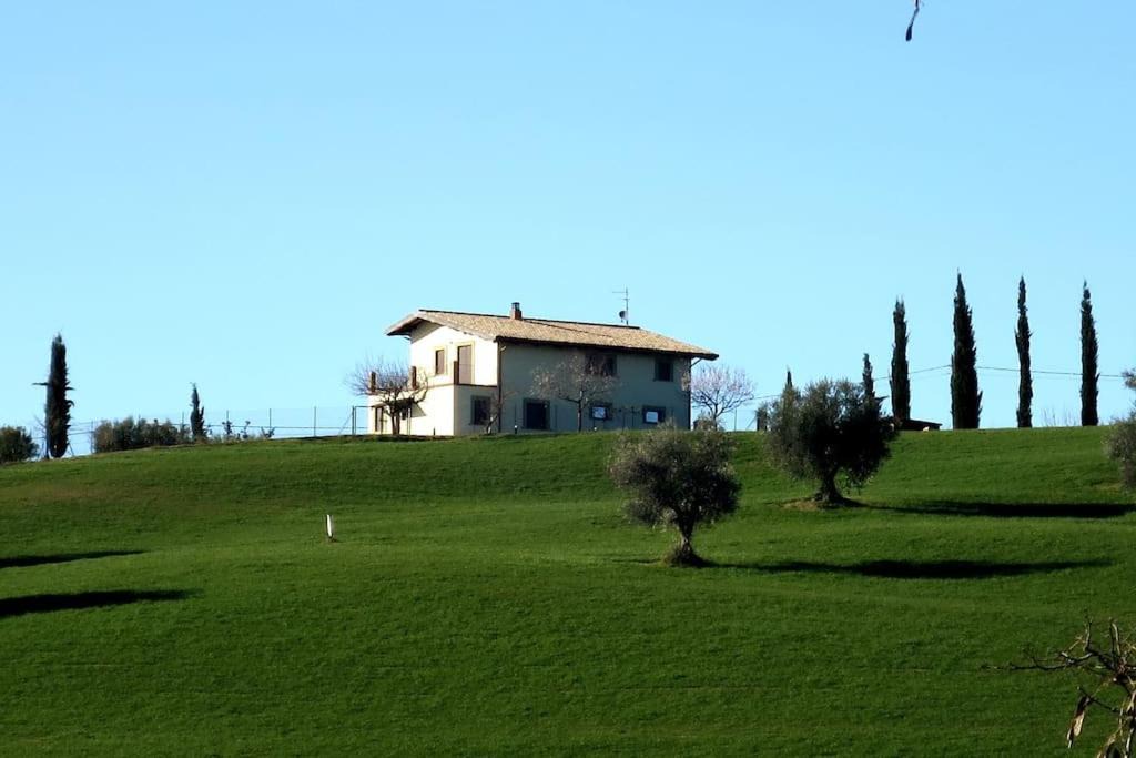 Photo of Others in Marciano