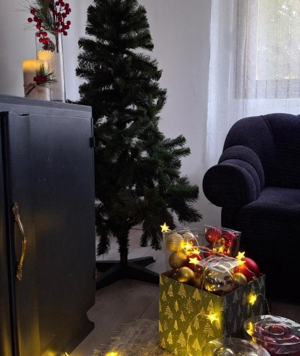 Photo of Livingroom in Novi Becej