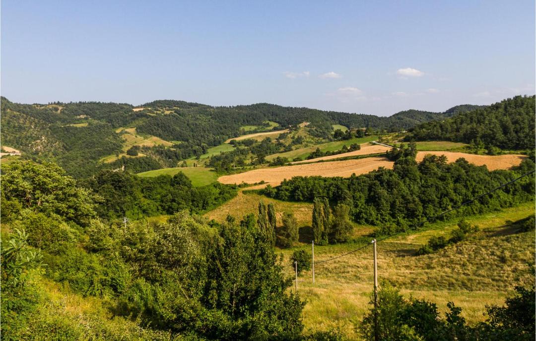 Photo of Others in Montelovesco
