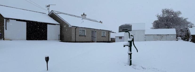 Photo of Others in Greencastle