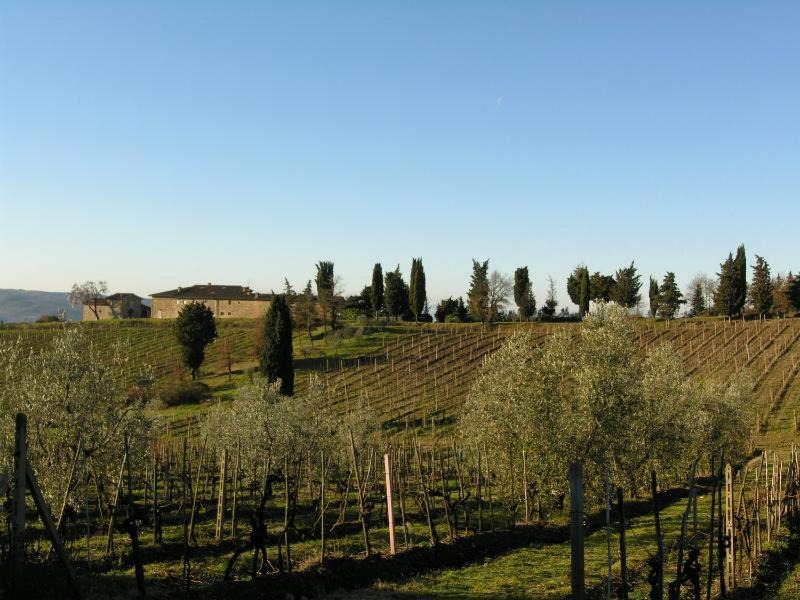 Photo of Others in Greve in Chianti