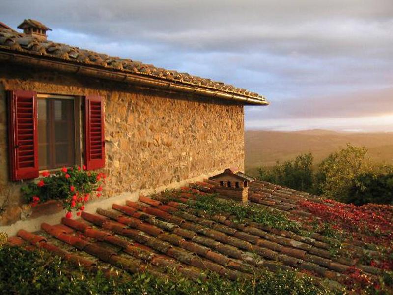 Photo of Others in Greve in Chianti