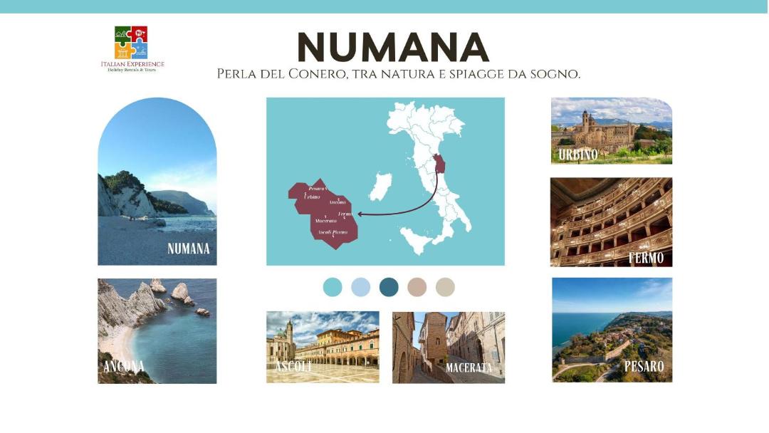 Photo of Others in Numana