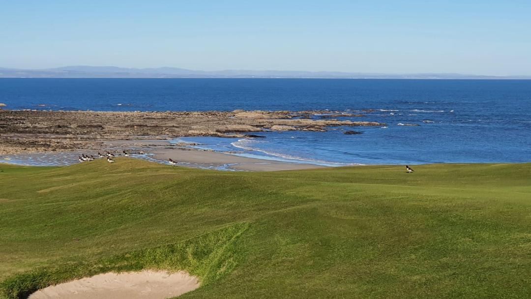 Photo of Others in Crail