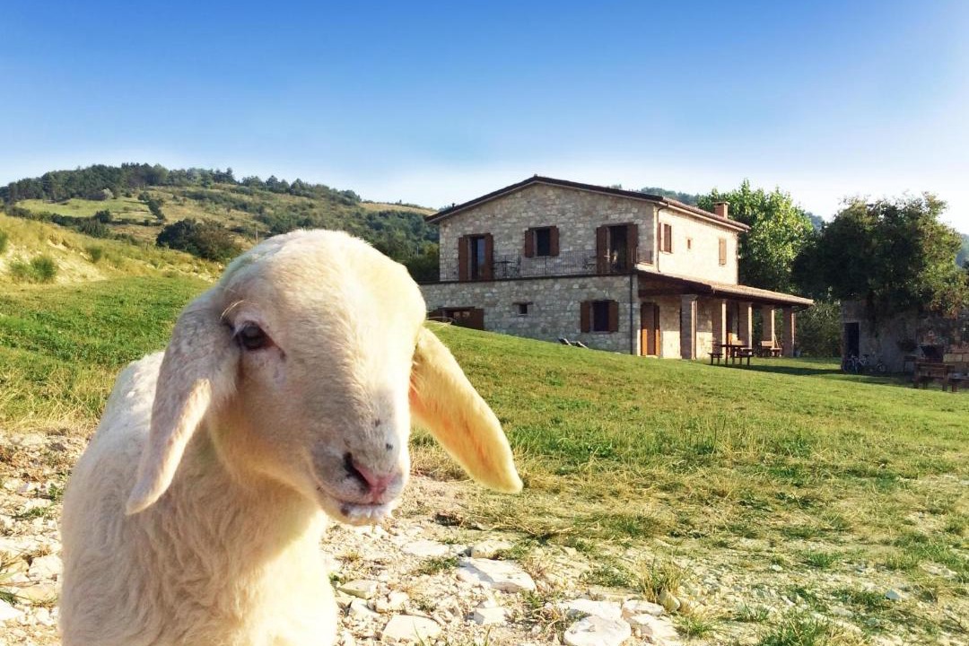 Photo of Others in Montegrimano