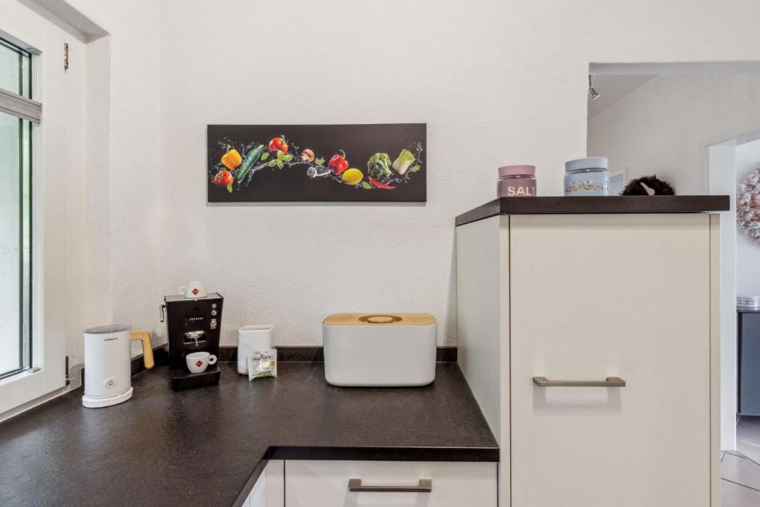 Photo of Kitchen in Magadino