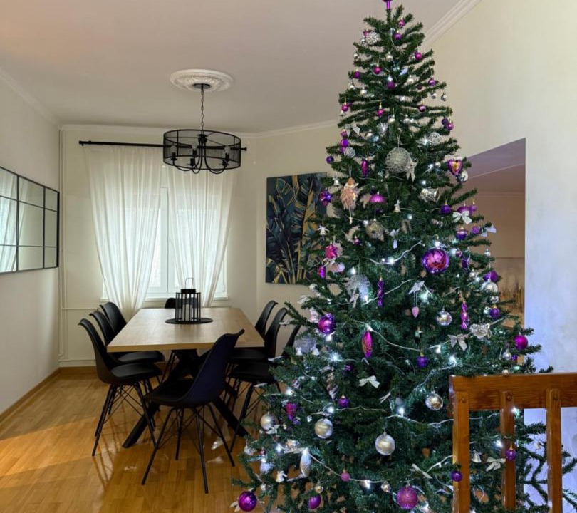 Photo of Livingroom in Petrovaradin