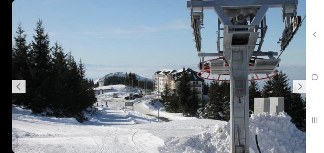 Photo of Others in Kopaonik