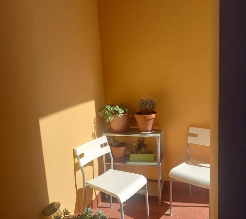 Photo of Others in Isolotto
