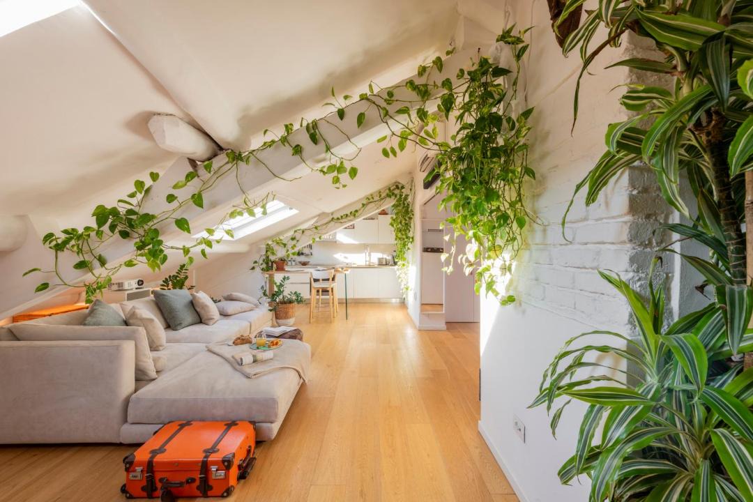 Photo of Livingroom in Magenta