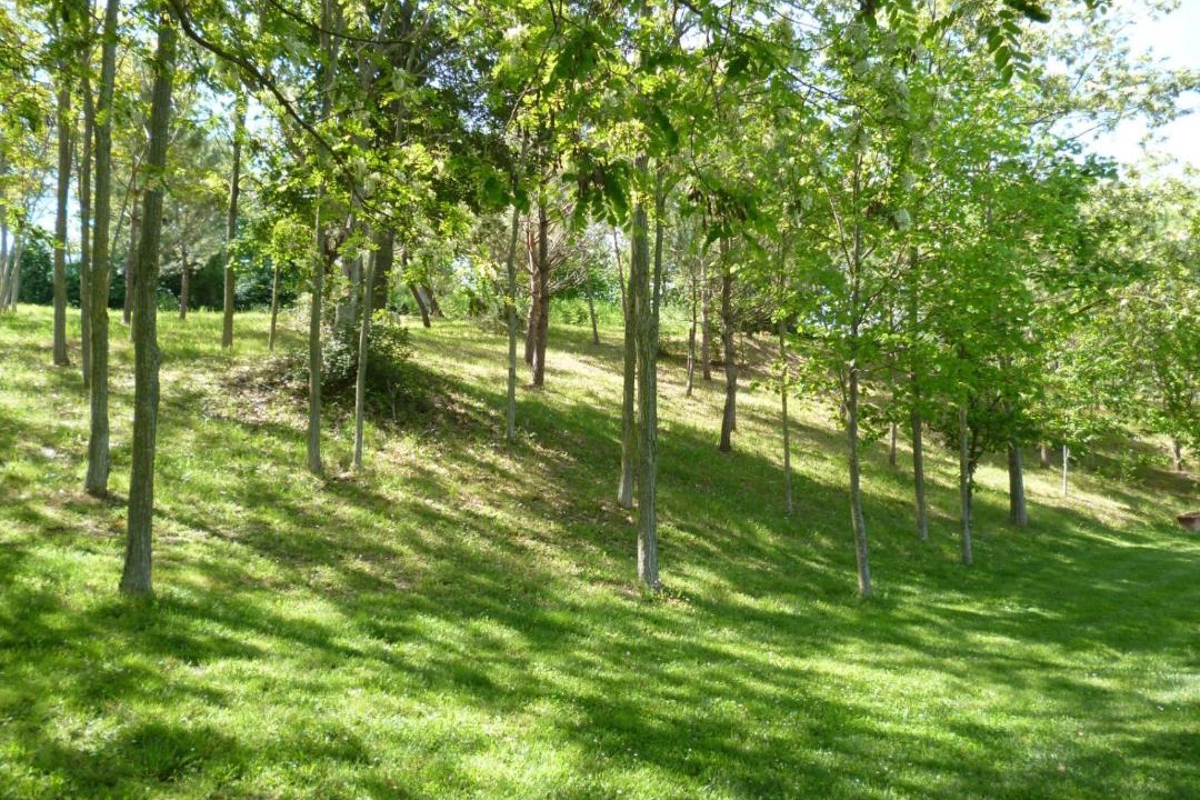 Photo of Outdoor in Tolentino