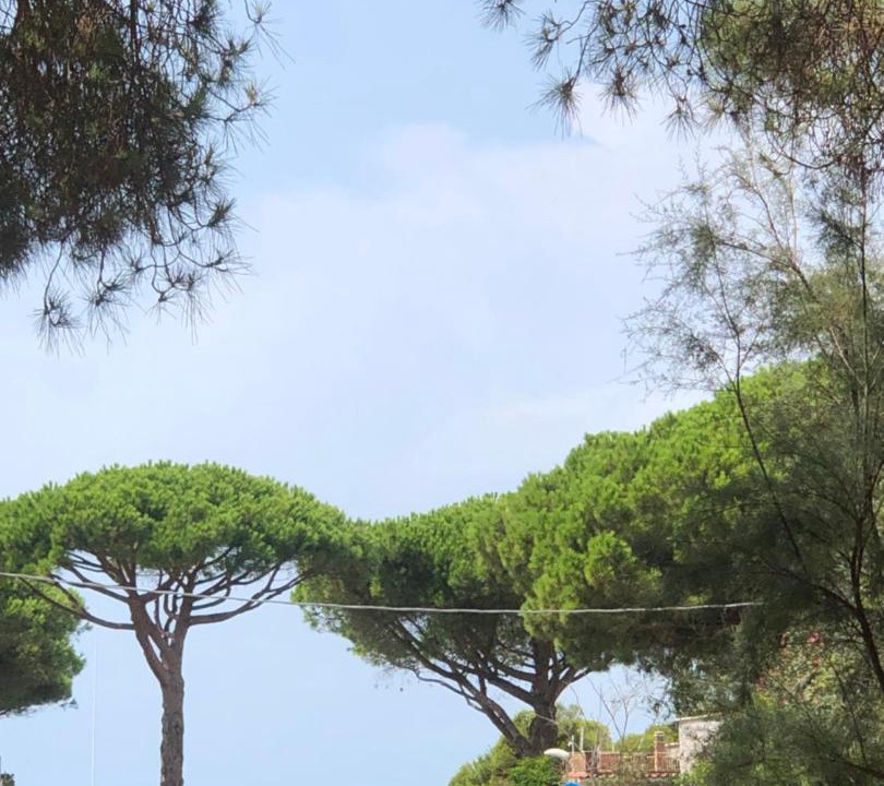 Photo of Others in Santa Marinella