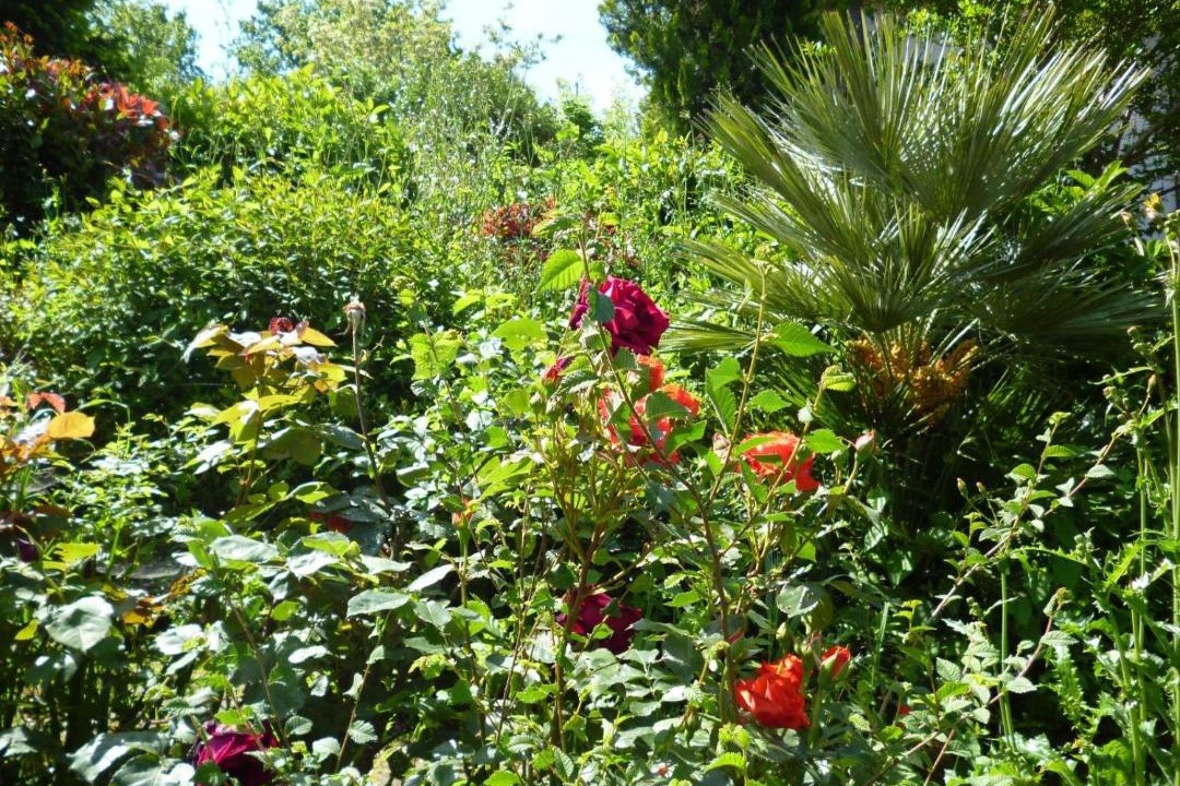 Photo of Outdoor in Tolentino