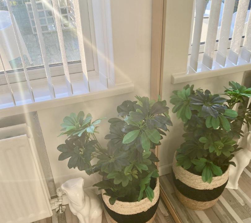 Photo of Patio Balcony in Islandmagee