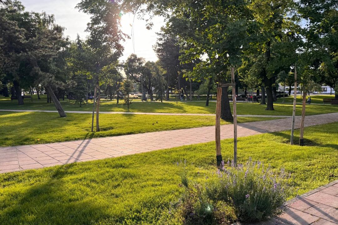 Photo of Others in City Center