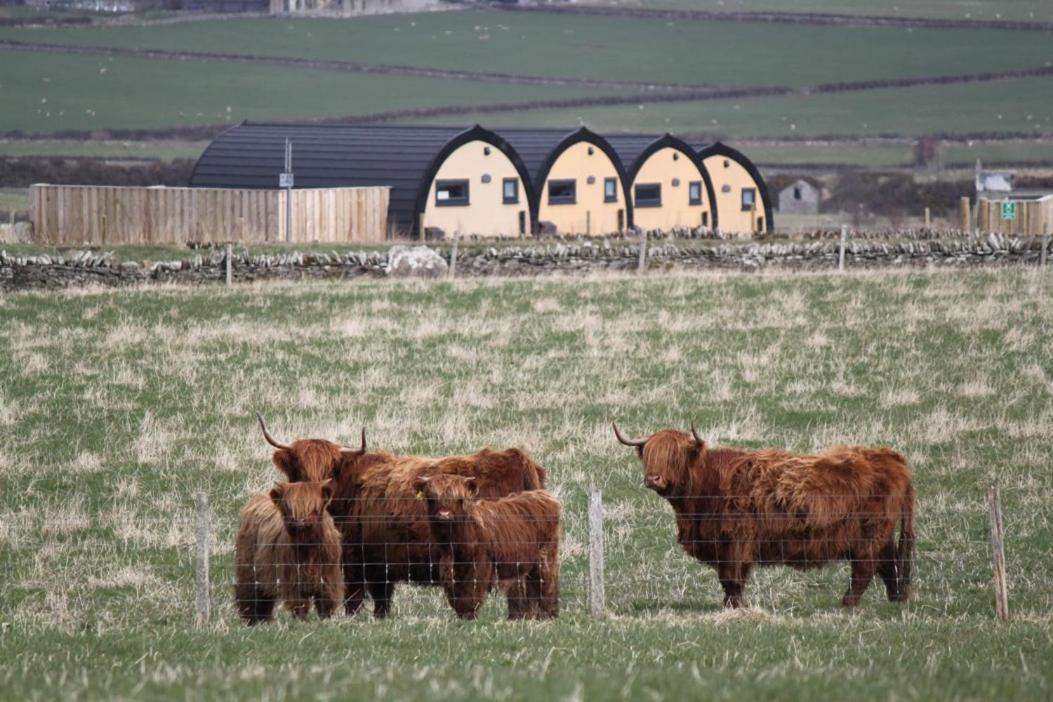 Photo of Others in Thurso