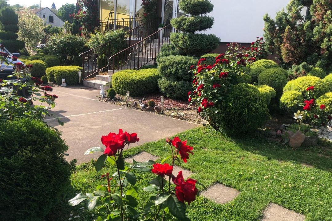 Photo of Others in Vrdnik