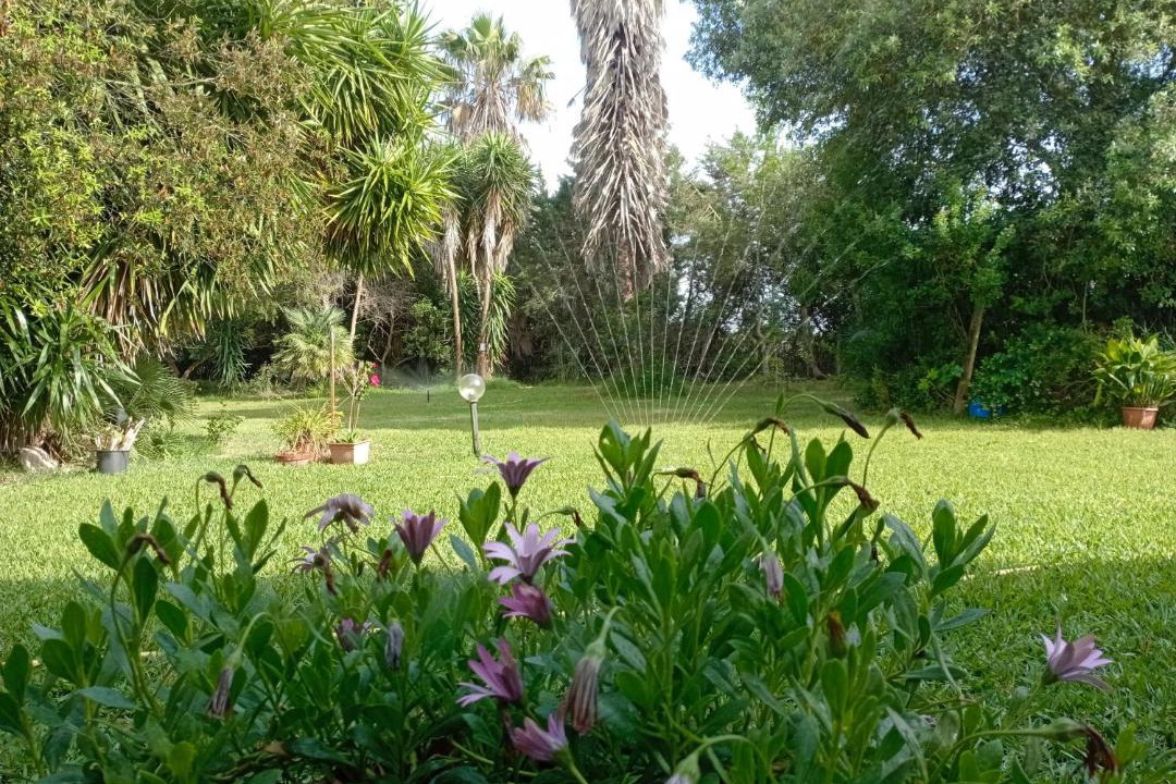 Photo of Others in San Vero Milis