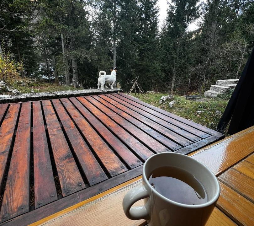 Photo of Others in Sella Nevea