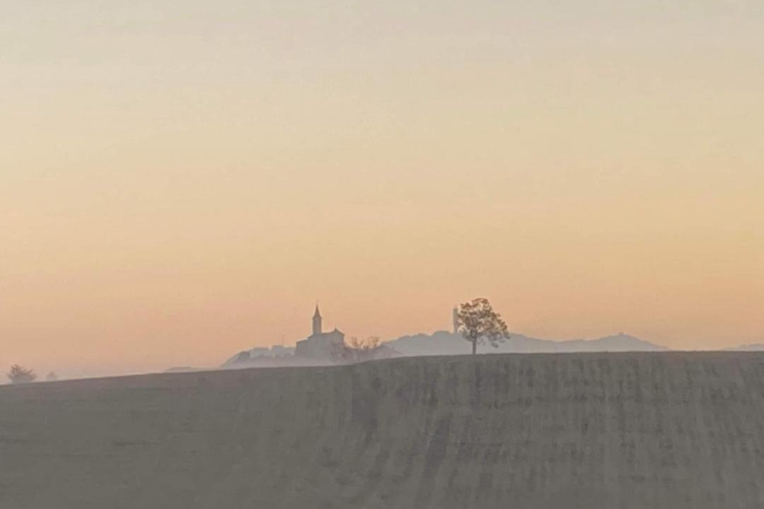 Photo of Others in Montiglio Monferrato