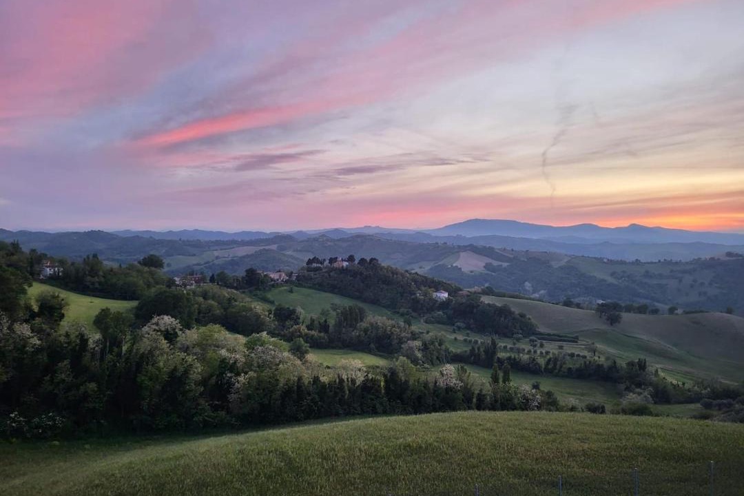 Photo of Others in Urbino