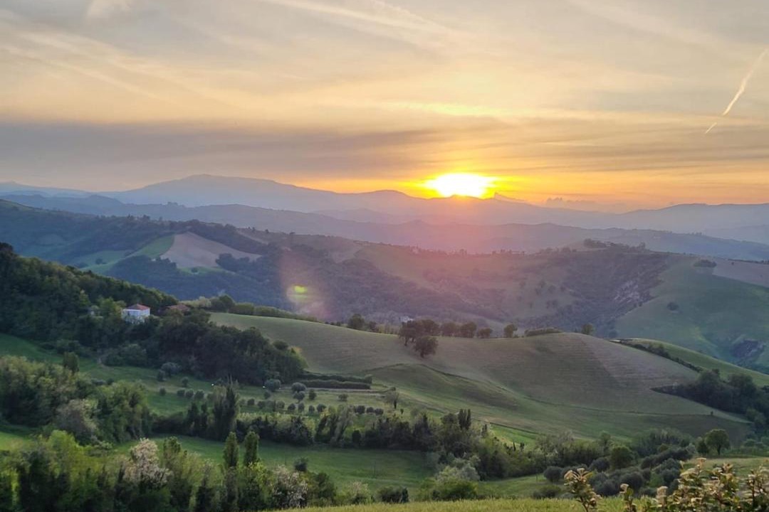 Photo of Others in Urbino