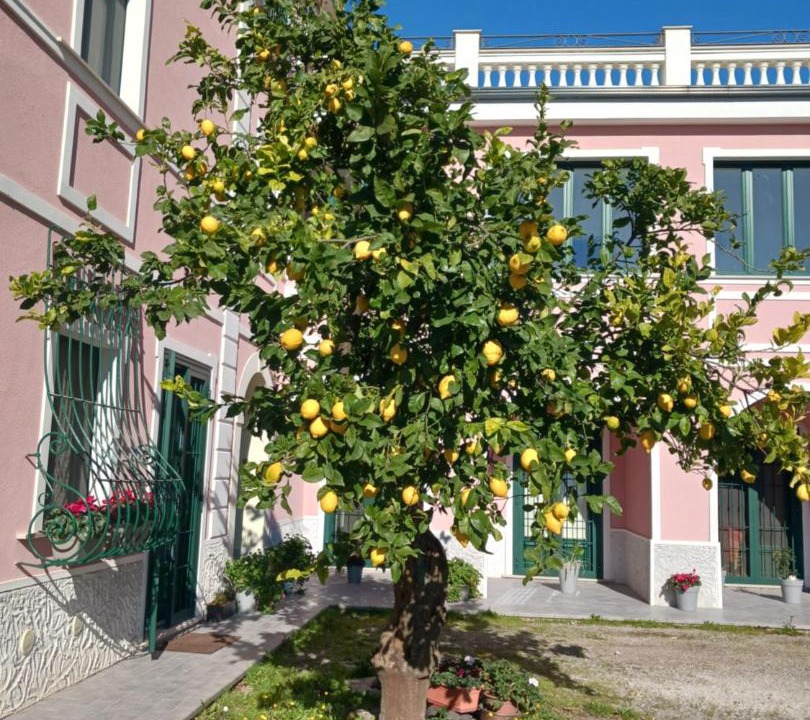 Photo of Others in Giffoni sei Casali
