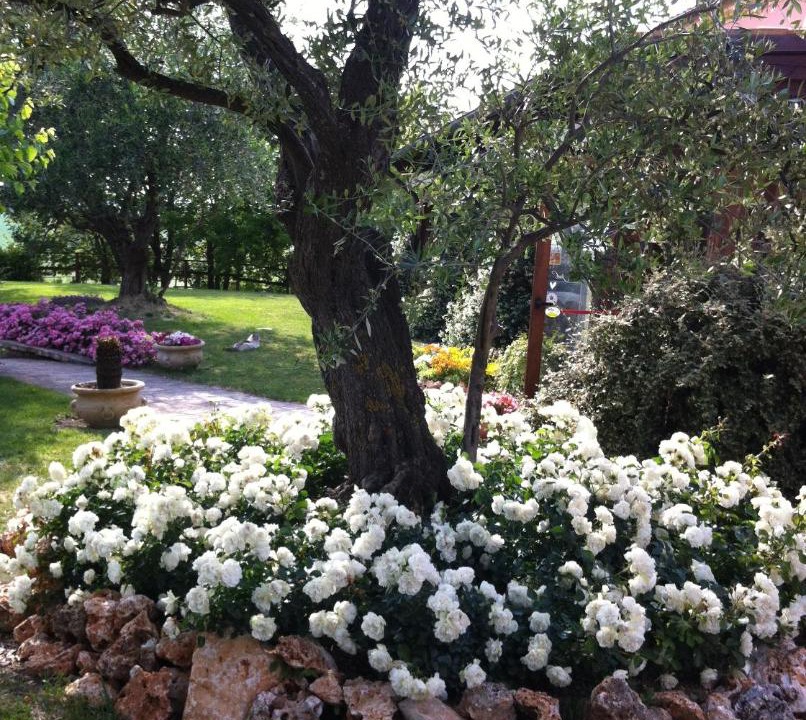 Photo of Others in San Costanzo