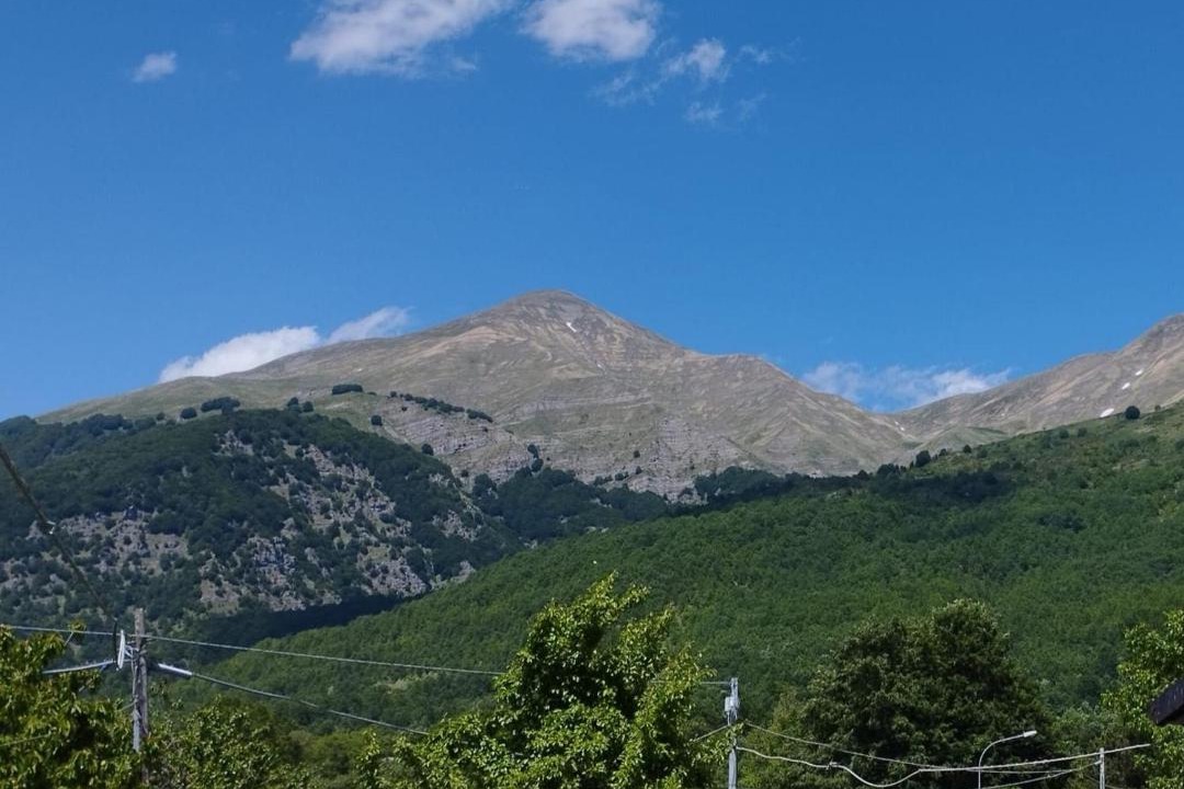 Photo of Others in Amatrice