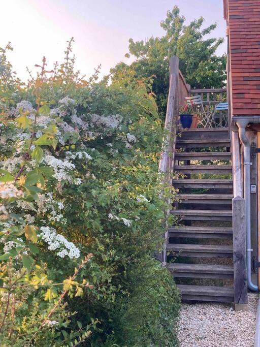 Photo of Others in Dorchester-on-Thames