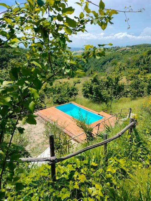Photo of Others in Belvedere Langhe