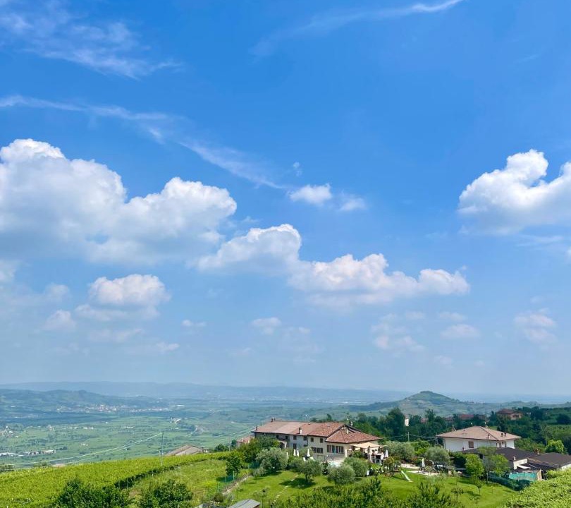 Photo of Others in Soave