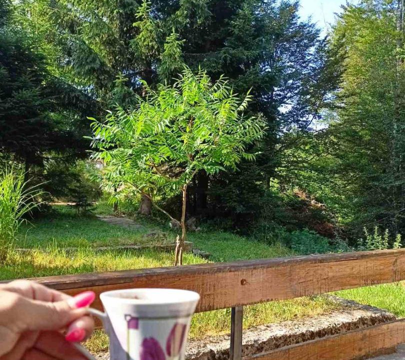 Photo of Outdoor in Central Serbia