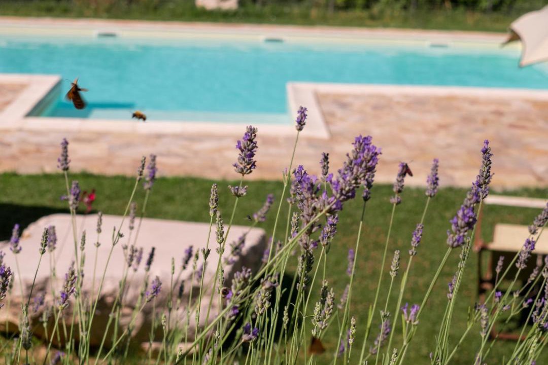 Photo of Outdoor in Urbino