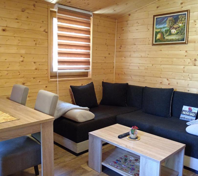 Photo of Livingroom in Petrovaradin
