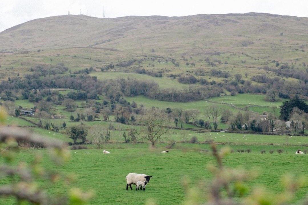 Photo of Others in Dromore